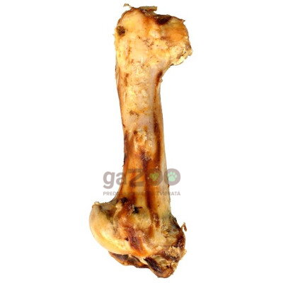 Hovädzia kosť MAXI 32-43cm