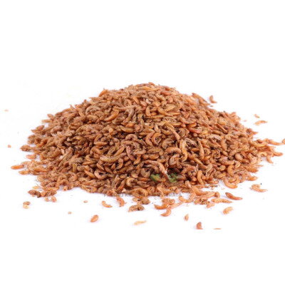 Gammarus 120g/1000ml