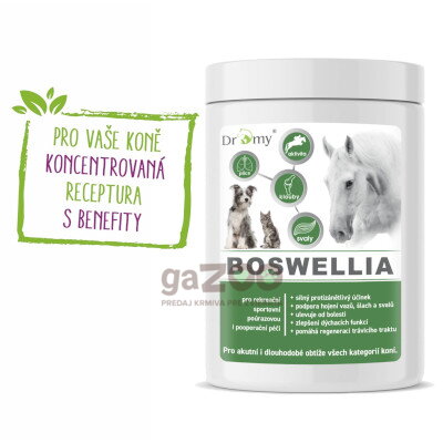 DROMY BOSWELLIA Forte 750g