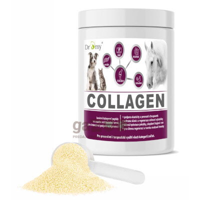 DROMY Collagen 900g
