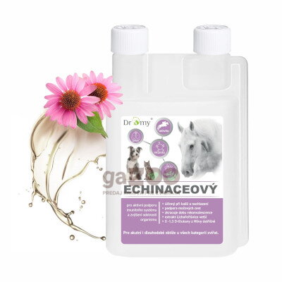 DROMY Echinaceový sirup 1000 ml