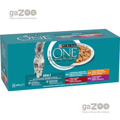 PURINA ONE Adult Mini filetky s jahňacím, s kuraťom, s hovädzím, s morskými rybami 40x85g