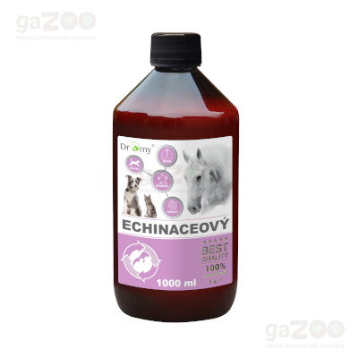 DROMY Echinaceový sirup 1000 ml