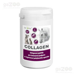 DROMY Collagen 900g