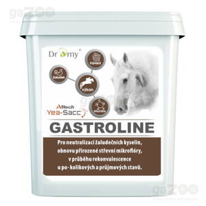 DROMY Gastroline 3000g