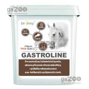 DROMY Gastroline 3000g