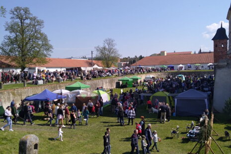 Výstava psov v Holíči 22.4.2023