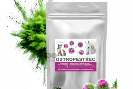 DROMY - jarné novinky pre kone