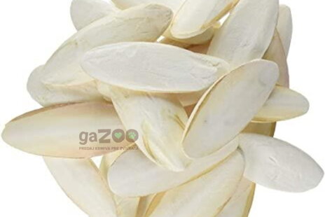 Čo sú sépiové kosti a aké je ich využitie